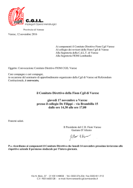 il Comitato Direttivo della Fiom Cgil di Varese giovedì 17 novembre