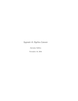 Appunti Algebra Lineare e Programma 2016/17