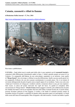 Catania, cassonetti e rifiuti in fiamme