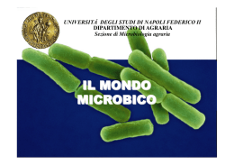Microb. Gen. A1 2016