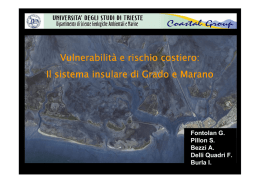 Vulnerabilità e rischio costiero: Il sistema insulare di Grado e Marano
