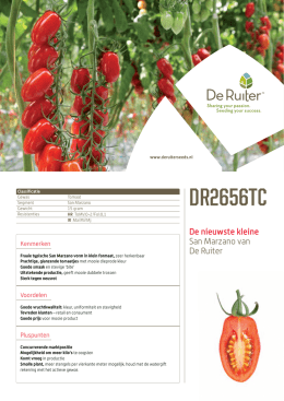 DR2656TC - De Ruiter Seed