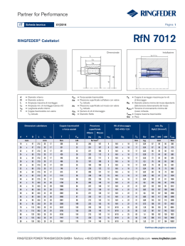 RfN 7012 - Ringfeder