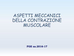 6_Meccanica muscolare