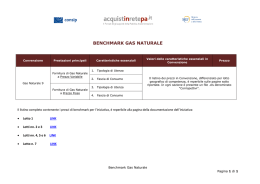 BENCHMARK GAS NATURALE