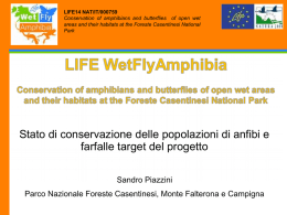 Diapositiva 1 - LIFE WetFlyAmphibia