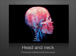 Head and neck