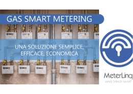 MeterLinq - Gas Smart Metering