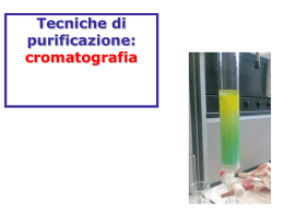 x lez tecniche purificazione cromatografia