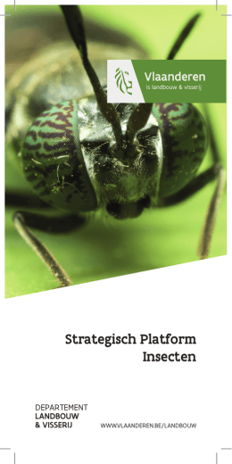 Strategisch Platform Insecten - Departement Landbouw en Visserij