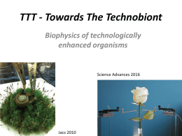 Presentazione standard di PowerPoint - Istituto di Biofisica