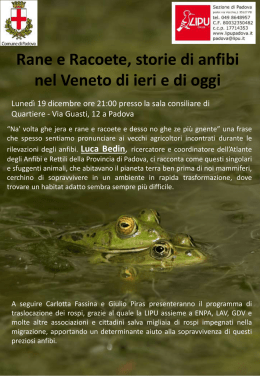 Rane e racoete, storie di anfibi nel Veneto di ieri e di oggi