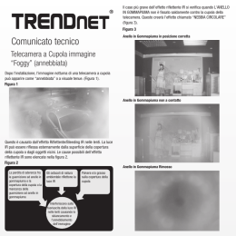 Technical Bulletin- Foggy Dome Italian.cdr