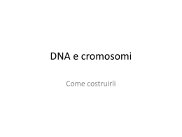 DNA e cromosomi