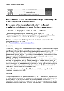 Hypoplasia of the internal carotid artery: collateral circulation and
