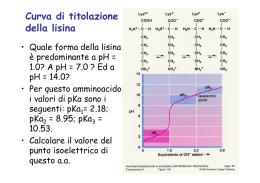 Diapositiva 1 - Docenti.unina.it