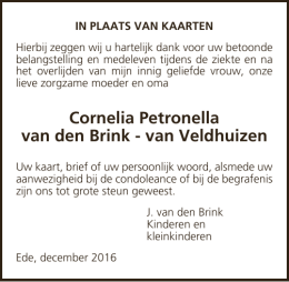 Cornelia Petronella van den Brink