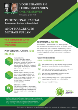 professional capital