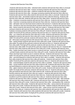 Anatomia Dell Esercizio Fisico Elika