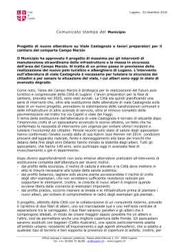 Comunicato Stampa