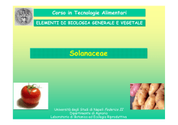 Solanaceae - Docenti.unina.it - Università degli Studi di Napoli