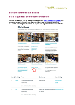 Handleiding Bibits - De Haagse Hogeschool
