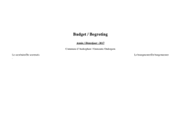 Budget / Begroting