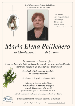 Maria Elena Pellichero