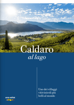 Catalogo Caldaro_2017