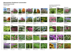 Schetsontwerpen binnentuinen en plantadvies