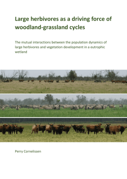 Large herbivores as a driving force of woodland