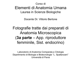 Diapositiva 1 - Università degli Studi di Pavia