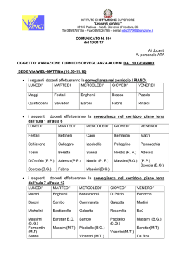 194_Sorveglianza Via Wiel