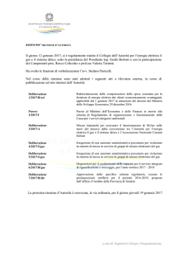 12 gennaio 2017 - Riunione d`Autorit&agrave; 951