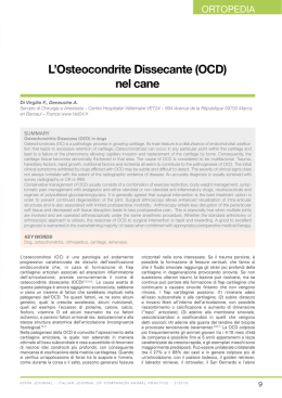L`Osteocondrite Dissecante (OCD) nel cane