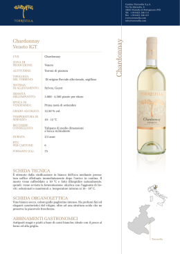 Chardonnay - Torresella | Il vino di Venezia