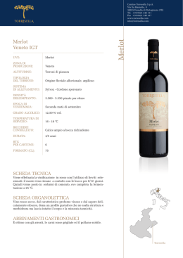 Merlot - Torresella | Il vino di Venezia