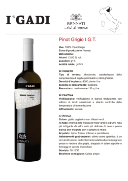 Pinot Grigio I.G.T.