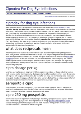 Ciprodex For Dog Eye Infections by yachtscabocharters.com
