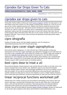 Ciprodex Ear Drops Given To Cats by vikingsquadron.com