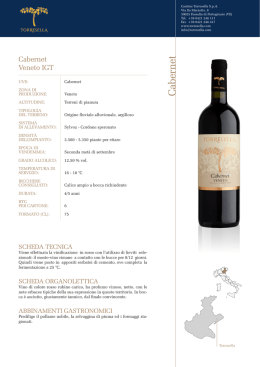 Cabernet - Torresella | Il vino di Venezia