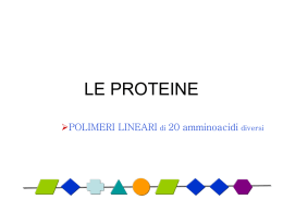 le proteine - Università di Pisa