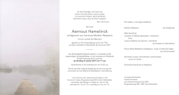Aernout Hamelinck
