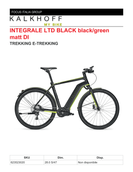 INTEGRALE LTD BLACK black/green matt DI