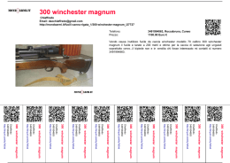 300 winchester magnum