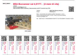 BSA Buccaneer cal 4,5/177.. (4 mesi di vita)
