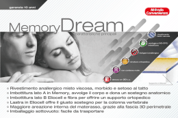 43x28 Memory Dream