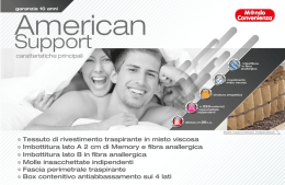 43x28 AmericanSupport