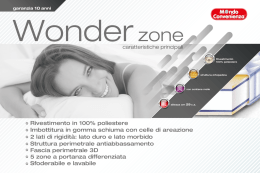 43x28 Wonder Zone