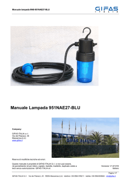 Manuale Lampada 951NAE27-BLU